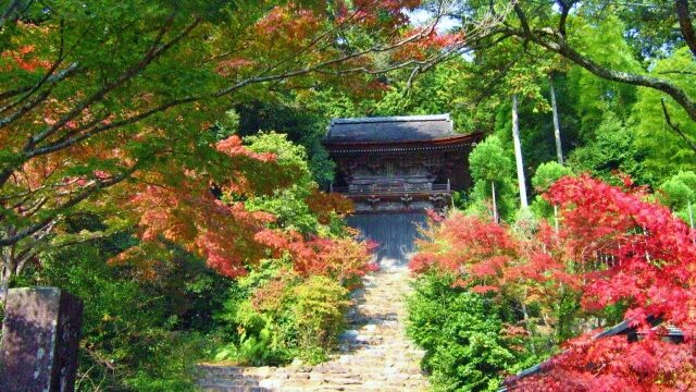 神護寺(じんごじ)